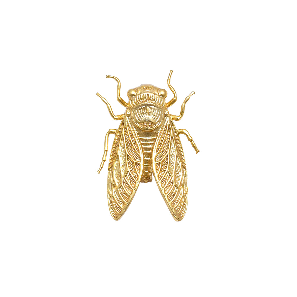 Specimen 01