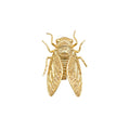 Specimen 01