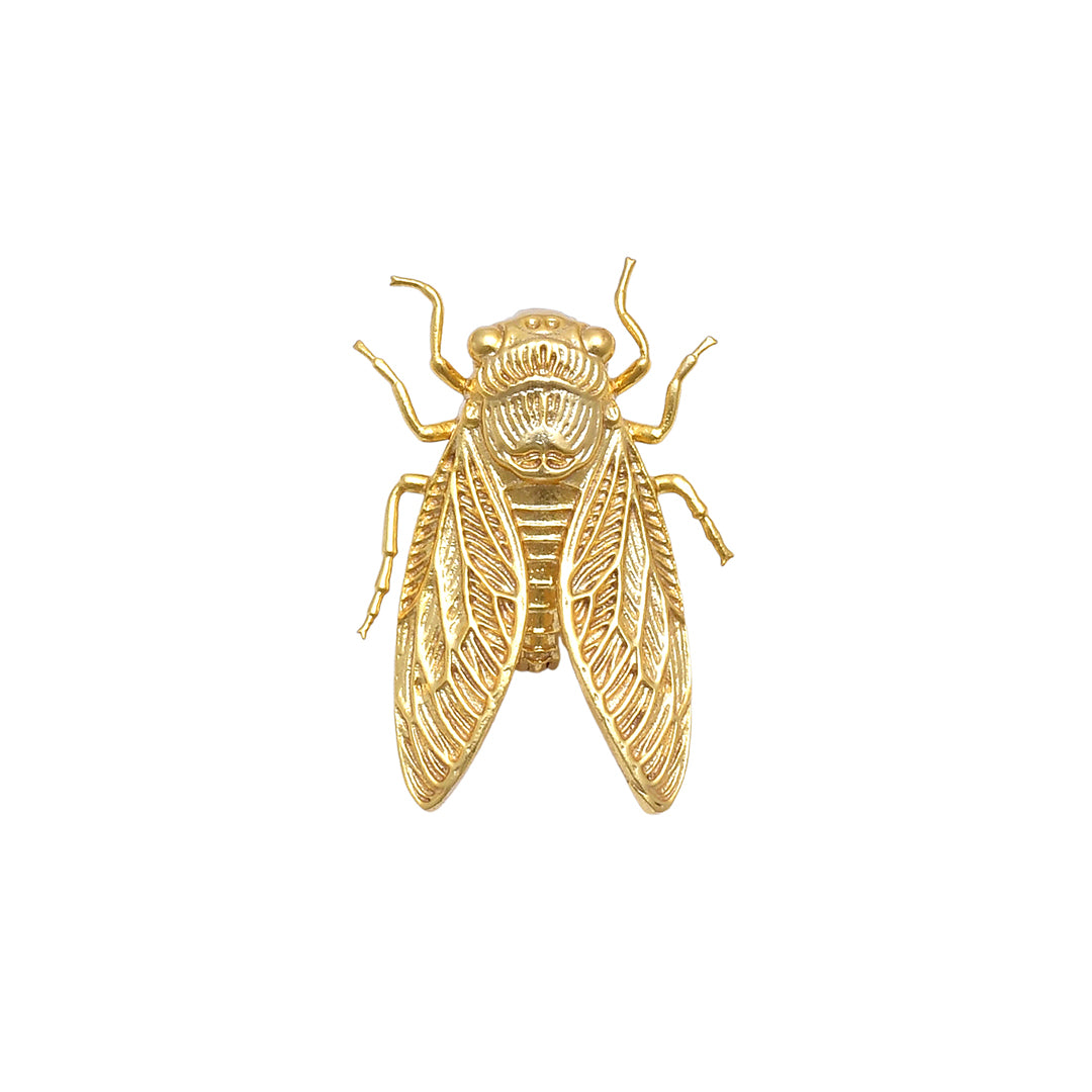 Specimen 01