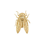 Specimen 01
