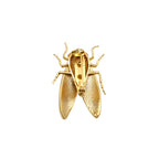 Specimen 01