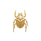 Specimen 02