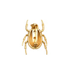 Specimen 02
